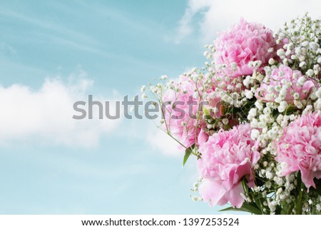 Pink Peonies and Baby's Breath flowers aggainst a beautiful spring sky  with copy space for your text. 
