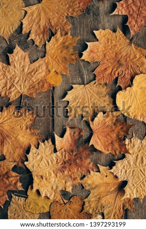 Autumn leaves on rustic wooden background. Top view with copy space.