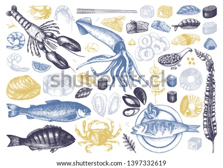 Vector collection of  hand drawn Seafood illustrations. With fresh fish, lobster, crab, oyster, mussel, squid ring, caviar, sushi, shrimps. Vintage food sketches set. Menu template