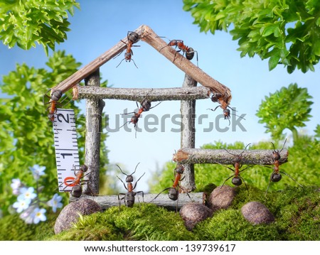 team of ants constructing wooden house in forest, teamwork, ant tales