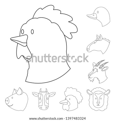 Vector design  food and homemade symbol. Set  food and homestead stock vector illustration.