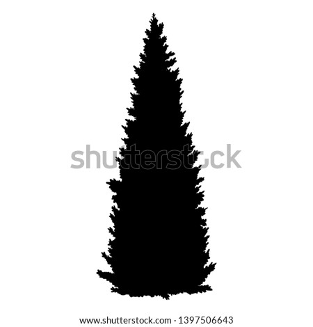 Vector Black Silhouette of Coniferous Tree