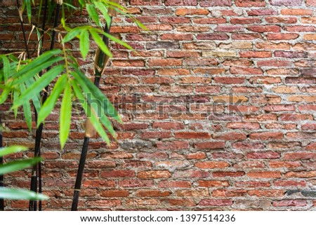 Red brick wall background with blur of bamboo leaves