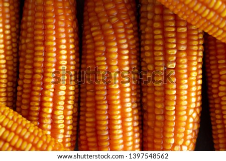 Soft focus Top View Dried Corn for food Background with Copy Space.