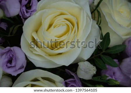 Bouquet of flowers. Yellow rose.
