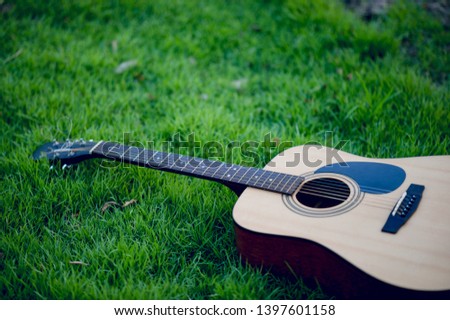 Guitar instrument Of professional guitarists Musical instrument concept For entertainment