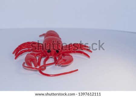 red lobster isolated on white background