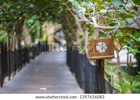 Pathway camera sign wood tree
