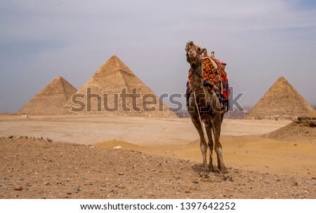 Views of the Great Pyramids in Egypt