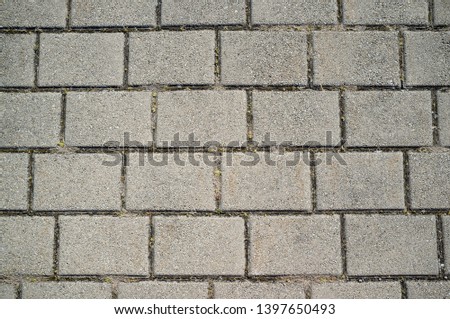 Texture of Concrete Paving Detail with Grass Growing from Cracks