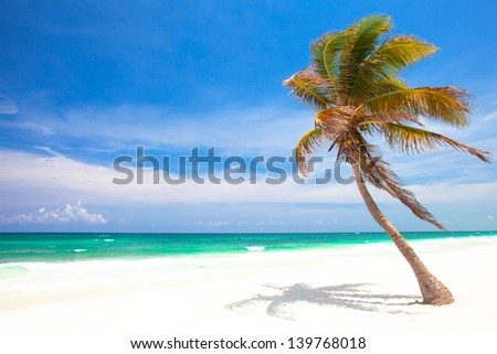 Landscape photo of tranquil beach in Tulum, Mexico