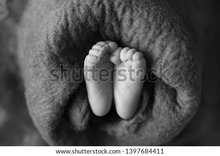 small legs black and white photo. feet of a newborn baby