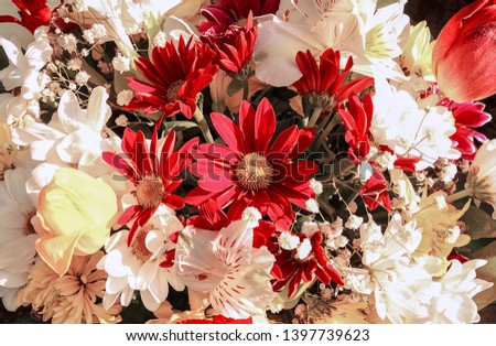 Background of mixed flowers. Bright mix of chrysanthemums, tulips and alstroemerias. The concept of business or floristry or holiday. Background on full frame, toned image. Selective focus, close-up.