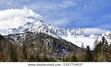 Larch and pine trees are frame to the 3000 m mountain peak called Cima del Duca in Malenco Valley