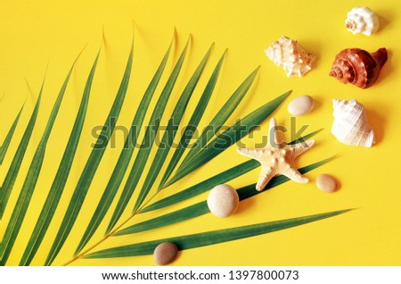 Summer vibes. Tropical palm leaf, seashells and starfish. Flat lay, top view. Yellow background