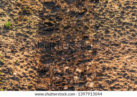 Trail of dirt on a rural road background and texture for design.