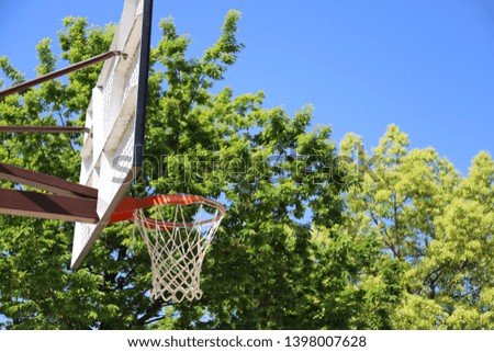 basket goal in park, green tree