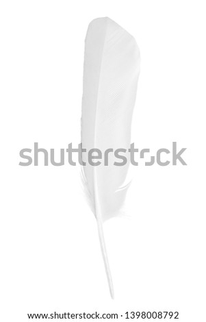 Beautiful white feather floating in air isolated on white background
