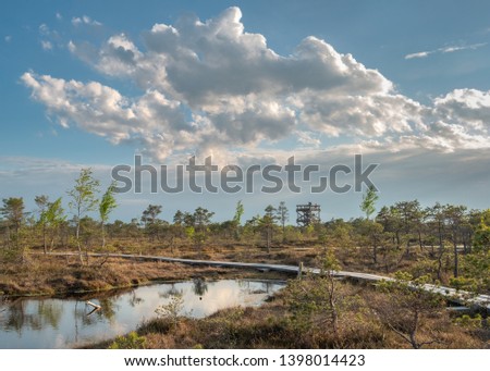 Kemeri National park in Latvia. Summer
