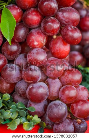 Red grapes, red grapes, are sold in supermarkets, grapes are delicious, grapes are used to make wine. 