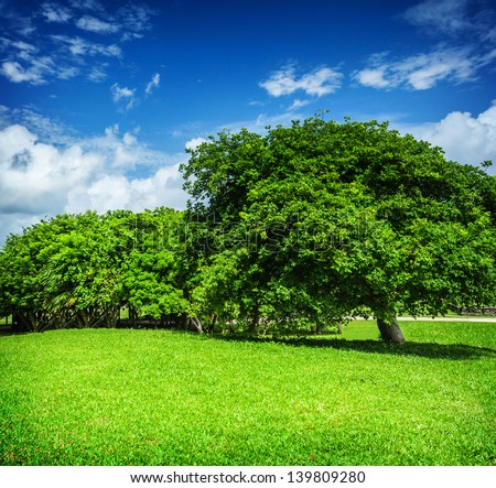 Beautiful landscape, blue cloudy sky, green grass field, leafy trees, sunny day, good weather, summer season concept 