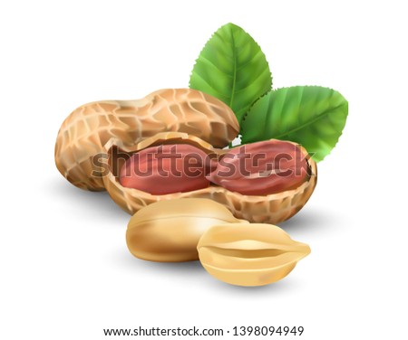 Peanuts in vector 3D illustration realistic. For packaging with peanut butter, nut mix. Vegetable protein for vegetarians, a useful product. Royalty-Free Stock Photo #1398094949