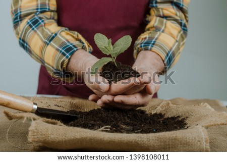 Gardener holding a small plant with both hands