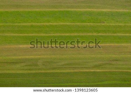 aerial picture of green meadow	