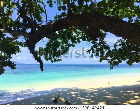 The sea in summer. In the picture there is a large branch that spreads the shade on the sand below. There is a tree and has a tall, lush green tree on the right hand side You will see the light blue 