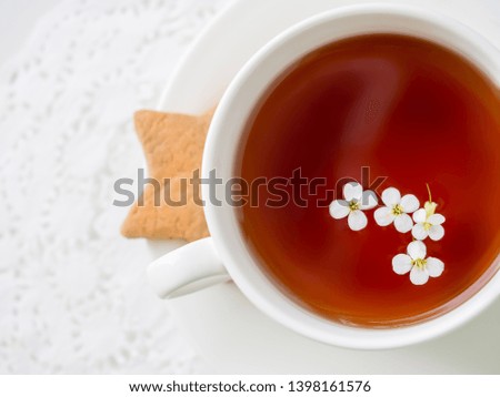White flowers flowing in a white cup of tea with a gingerbread star shape cookie on a white background. Top view. Close up shot.