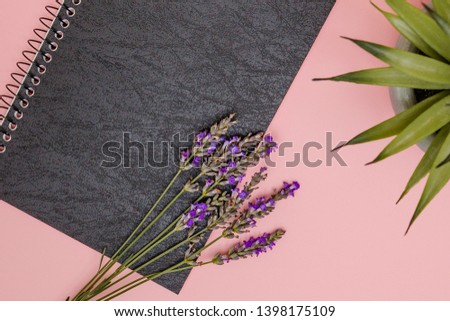 Flat lay, top view notebook on color background, minimal workspace, succulent desk plant, floral lavender decorative plants, pink, purple simple office space concept.