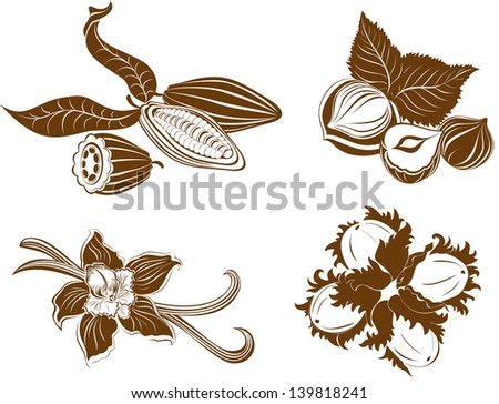 Collection of dessert ingredients. Hazelnuts, Cocoa beans, Vanilla pods isolated on white
