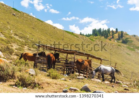 The horses are in a wooden corral. Mountain gorge-Jeti Oguz. Rest in Kyrgyzstan. Nature in the area of lake Issyk Kul.