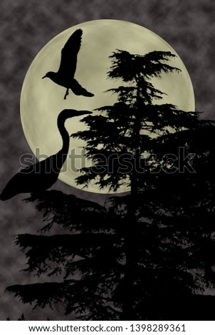 gray heron and dove fly on plant above the clouds looking upwards at full moon, cloudy dark night sky background. Dreamy magic skyline, artistic screen saver.
