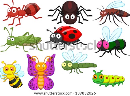 Insect cartoon collection set