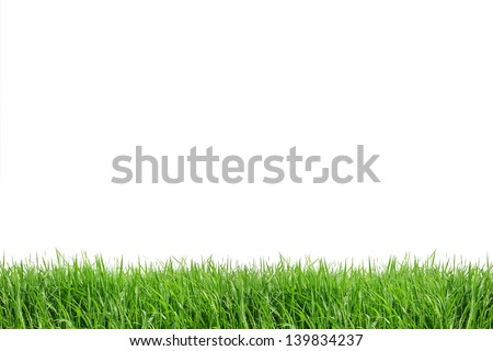Green grass isolated on white background Royalty-Free Stock Photo #139834237