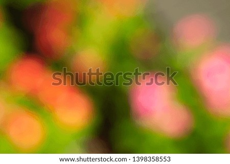 Macro flowers and abstract colorful backgrounds.