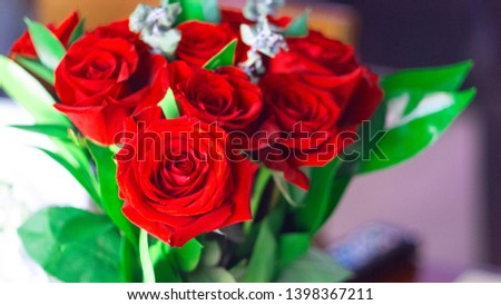 Bouquet of Crimson Roses with a Touch of White Flowers  