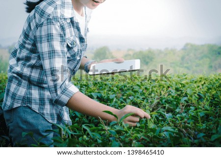 Agriculture technology farmer woman using tablet computer analysis data at tea plantation