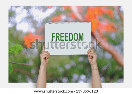 Woman hands holding high a post card that says FREEDOM against 

a blur nature.