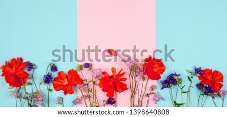 composition of wild flowers and red poppies on pink blue background close-up with copy space