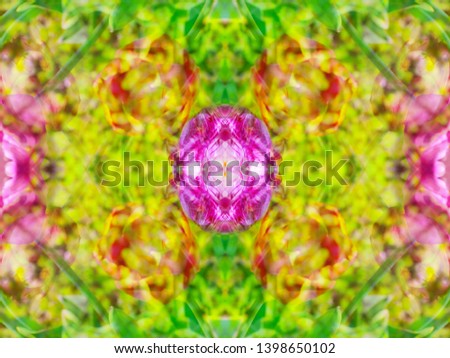 abstract image created with a photograph in the mirror of plants