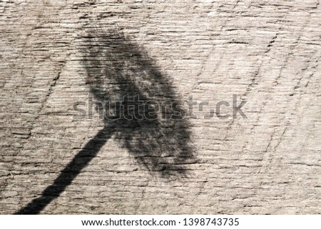 silhouette of dandelion flower at old wooden background. 