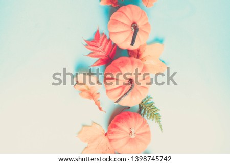 Orange pumpkins and leaves on blue background with copy space, retro toned