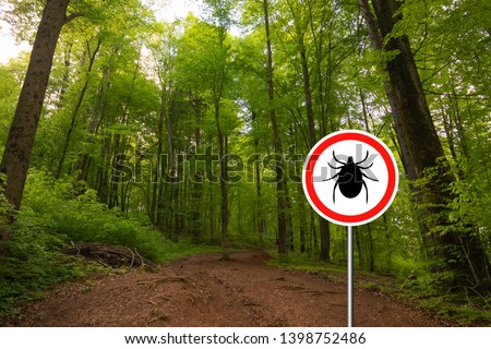 Tick insect warning sign in nature forest. Lyme disease and tick-borne meningitis (meningoencephalitis) transmitter. Royalty-Free Stock Photo #1398752486