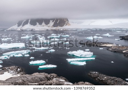Nice view on harbour with icebergs and mountains in the background in Antarctica