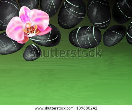 Spa background with stones and orchid . Raster version of vector illustration