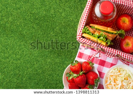 Summer holiday, Picnic in the park on the grass. Basket, tablecloth, healthy food, healthy food and accessories, top view, Flat lay.The concept of a picnic, summer and rest