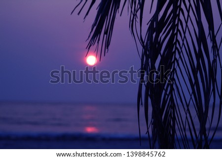 Sunset leaves and purple landscape on the beach
