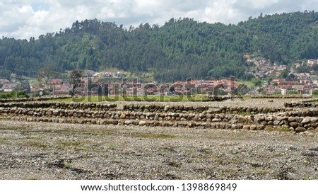 Courtyard made of river stone in the Incan and Canari ruins in the Pumapungo archaeological park in Cuenca, Ecuador